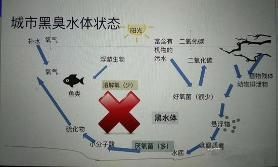 江蘇億元投資治污新技術(shù) 石墨烯能否治理黑臭水體？
