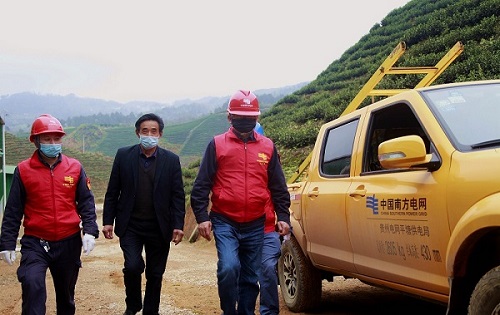 平塘供電局：“加減法”同構(gòu)服務(wù)，護(hù)航“貴州春茶第一壺”