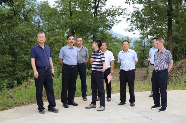 中國能建總經(jīng)理、黨委副書記孫洪水一行赴陜西鎮(zhèn)巴縣調(diào)研定點扶貧工作