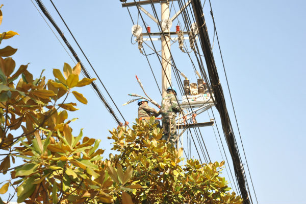 國網(wǎng)廣昌縣供電公司“自主實施+供電所協(xié)作”大力推進配網(wǎng)自主實施