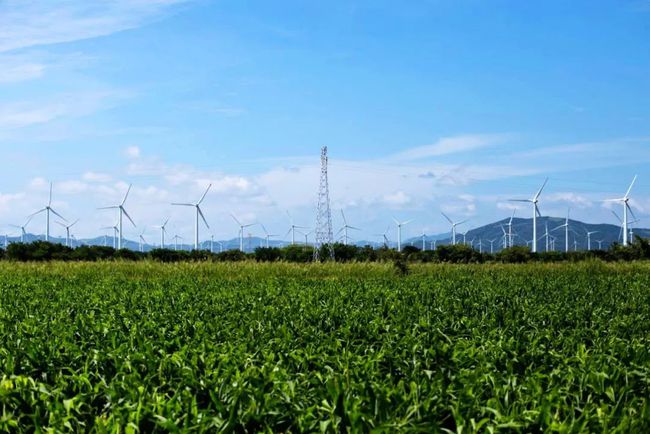 收購墨西哥818MW光伏電站，國家電投境外光伏電站裝機(jī)超6GW