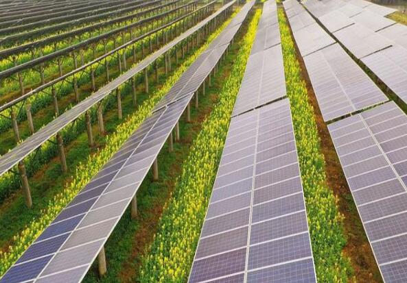 廣東清遠(yuǎn)建設(shè)小型農(nóng)光互補光伏發(fā)電站，工程總投資1.5億元