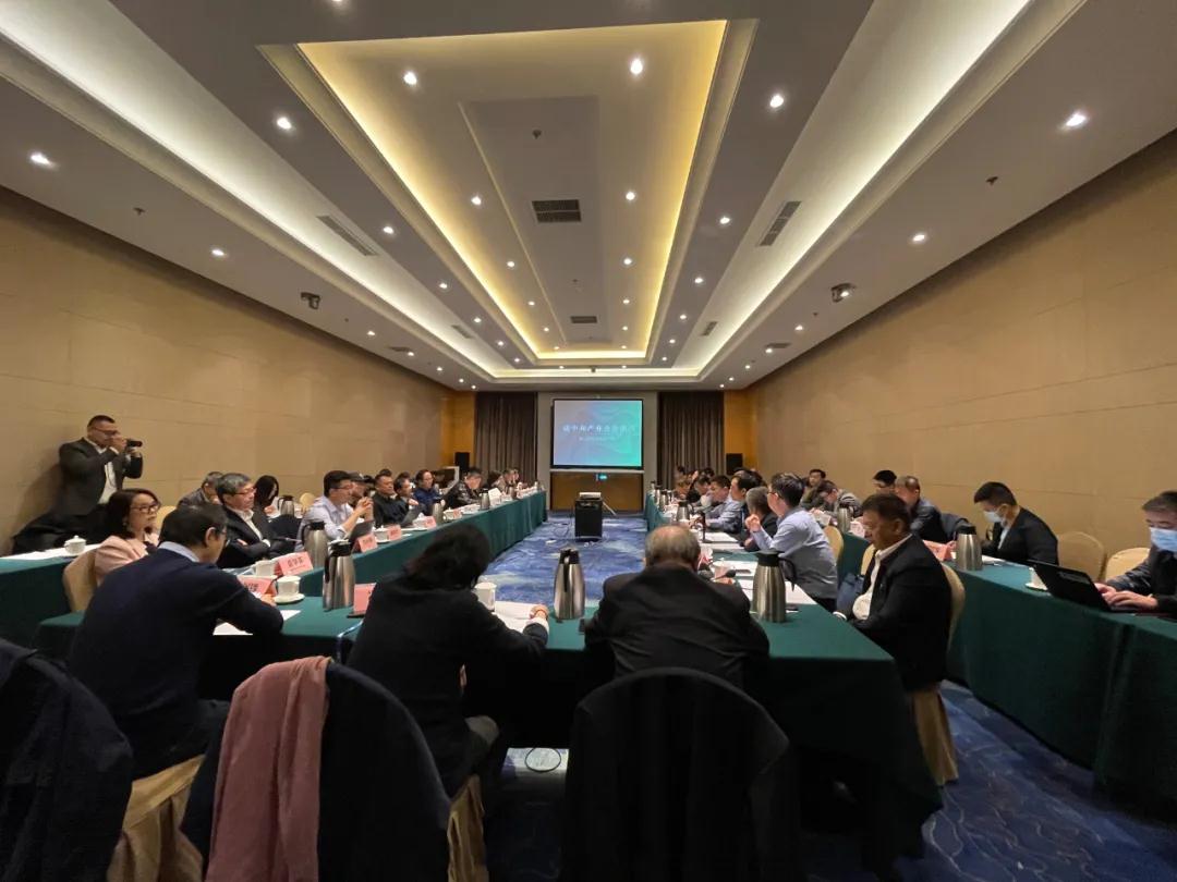 視全局、促合作，碳中和產(chǎn)業(yè)合作組織籌備會在京召開