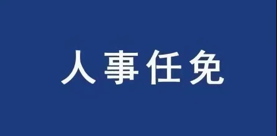 重磅！張智剛?cè)螄?guó)家電網(wǎng)總經(jīng)理、黨組副書記，韓君出任三峽集團(tuán)總經(jīng)理
