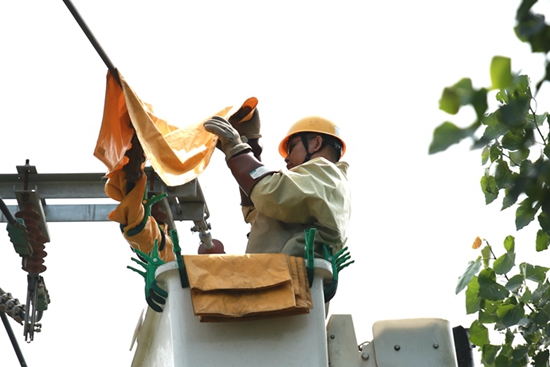 國網(wǎng)山東壽光供電:麥?zhǔn)諘r節(jié)熱浪襲 帶電消缺助豐收