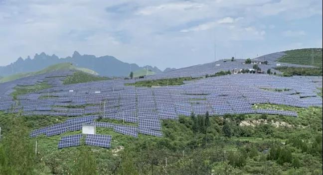 少長一棵草，多發(fā)一度電，助力碳中和