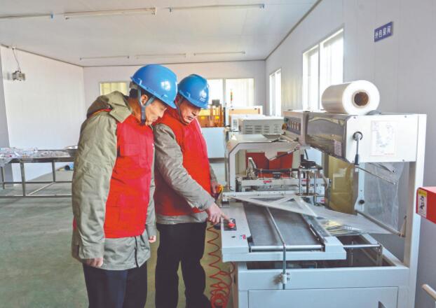 濱?？h供電公司：白首烏產業(yè)發(fā)展充上“滿格電”