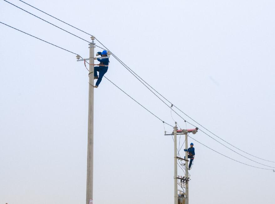 阿拉善供電公司：電網(wǎng)健康“體檢”，從登桿開始