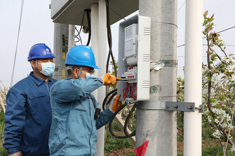 國網(wǎng)諸城市供電公司電力足，千畝梨園花正濃