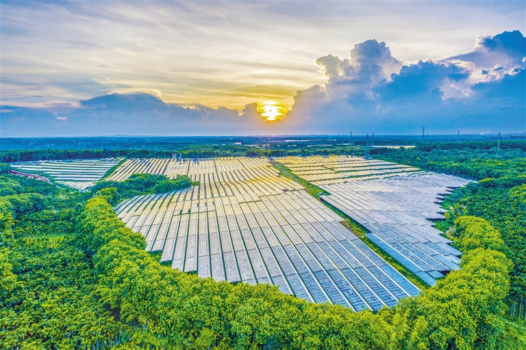 海南電網(wǎng)公司加快構(gòu)建現(xiàn)代供電服務(wù)體系，驅(qū)動(dòng)鄉(xiāng)村振興電力引擎
