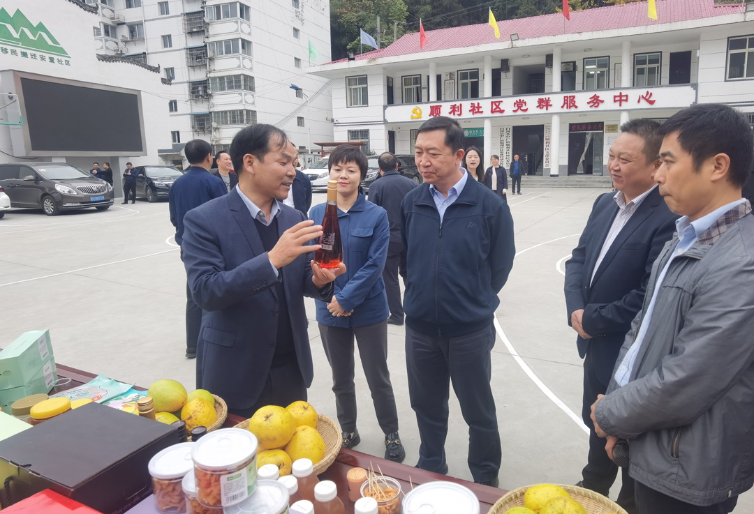 中核集團(tuán)總經(jīng)理、黨組副書記顧軍赴陜西白河、旬陽調(diào)研鄉(xiāng)村振興工作