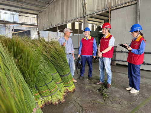 國網(wǎng)寧波供電公司海曙供電分公司:守護(hù)綠色“草”經(jīng)濟(jì) 電力服務(wù)跑出鄉(xiāng)村振興加速度