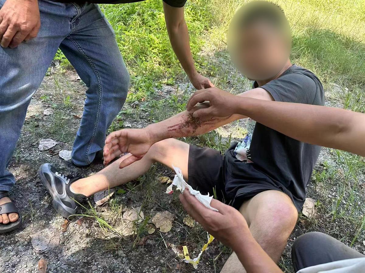 男子私設(shè)電網(wǎng)30余米，沒捕獲獵物卻電傷路人被刑拘