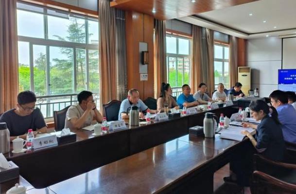 “氫”裝上陣，自貢市加快推動氫能全產(chǎn)業(yè)鏈發(fā)展