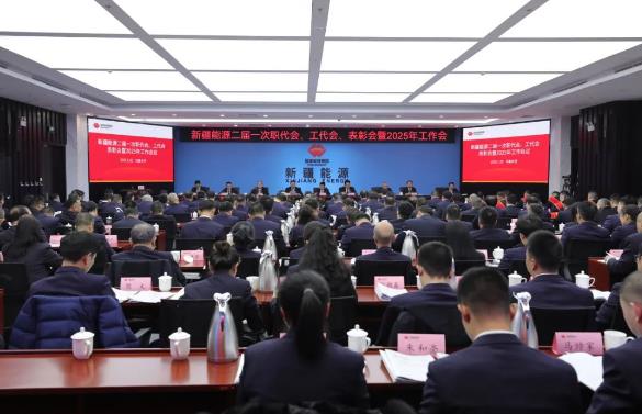 國能新疆能源召開二屆一次職代會、工代會、表彰會暨2025年工作會