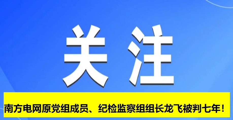南方電網(wǎng)原黨組成員、紀(jì)檢監(jiān)察組組長龍飛被判七年！