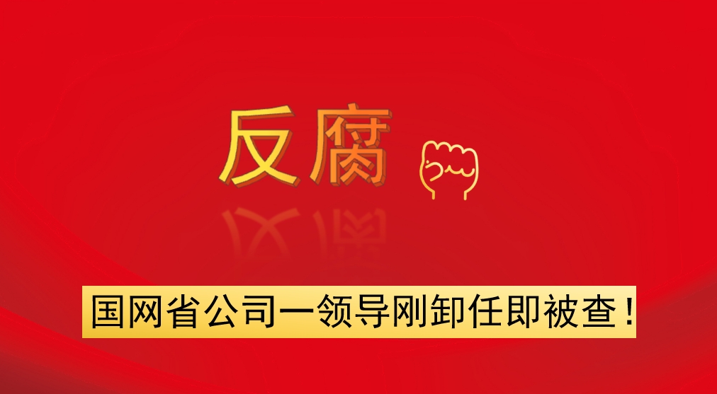 國網(wǎng)省公司一領(lǐng)導剛卸任即被查！